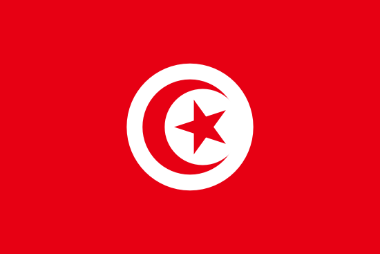 公证书突尼斯领事认证 外交部单认证突尼斯使馆双认证