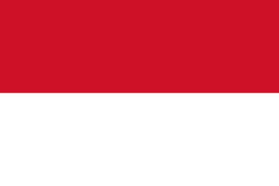 公证书印尼使馆认证双认证办理
